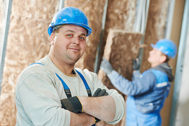 Best Insulation Maintenance and Repair in Galesburg, IL